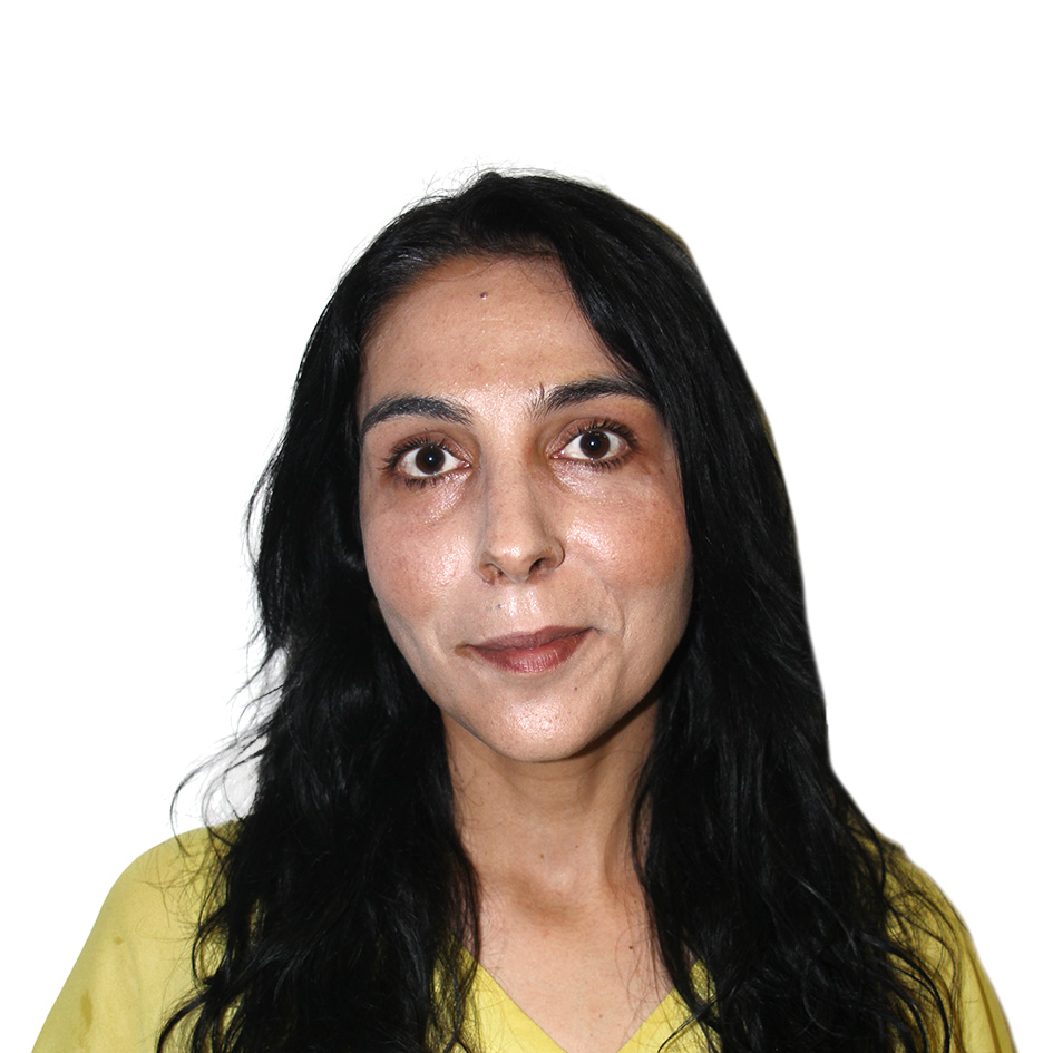 São Pedro de France