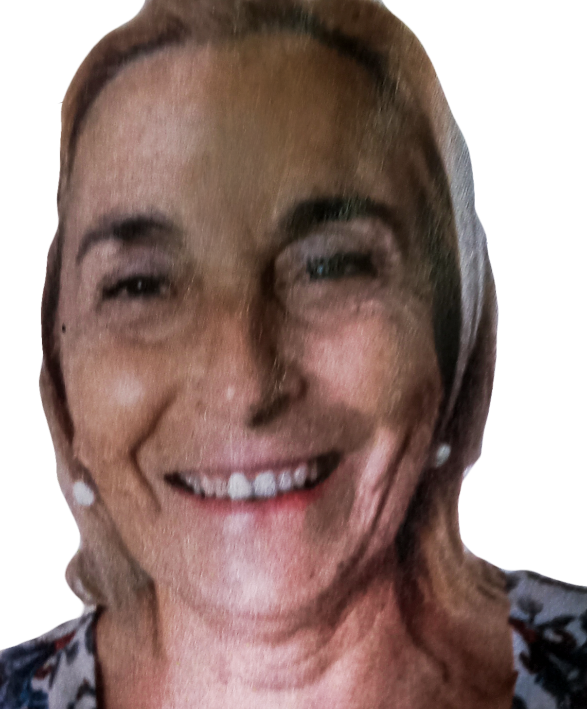 União de Freguesias de Boa Aldeia, Farminhão e Torredeita